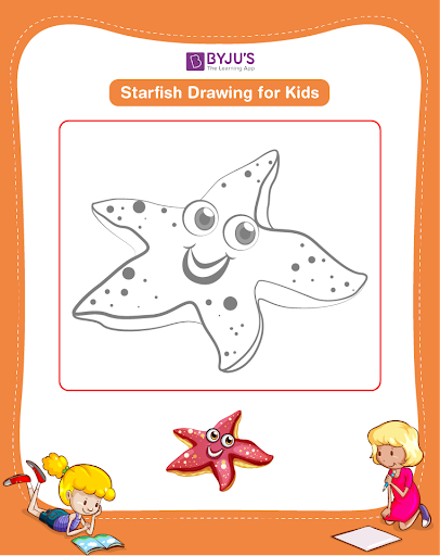 http://examified.com/wp-content/uploads/2024/01/Colouring-a-Starfish.png