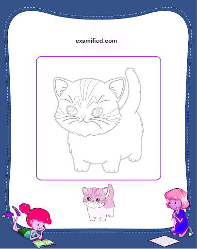 Kitty Drawing for Kids