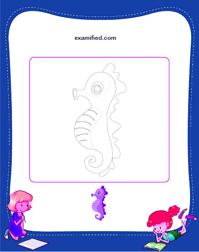 Colouring a Seahorse