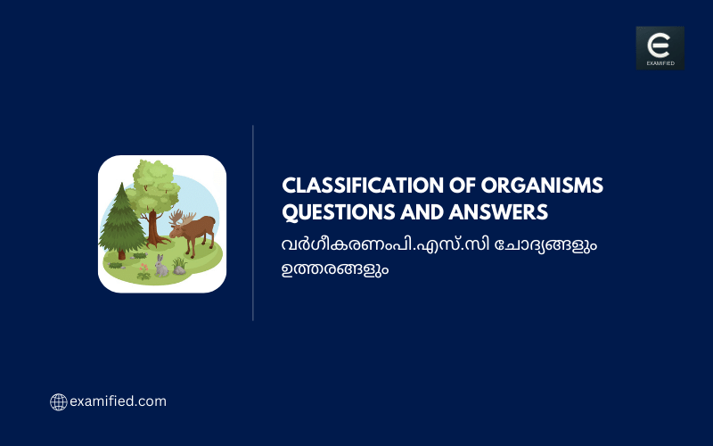 Classification of Organisms Questions and Answers