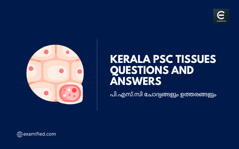 Kerala PSC Tissue Questions and Answers - പി.എസ്.സി കലകൾ ചോദ്യങ്ങളും ഉത്തരങ്ങളും