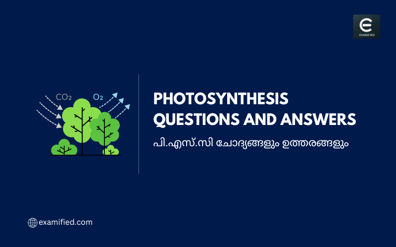 Kerala PSC Photosynthesis Questions and Answers