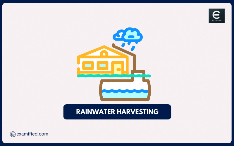 rainwater-harvesting-process-advantage-faqs