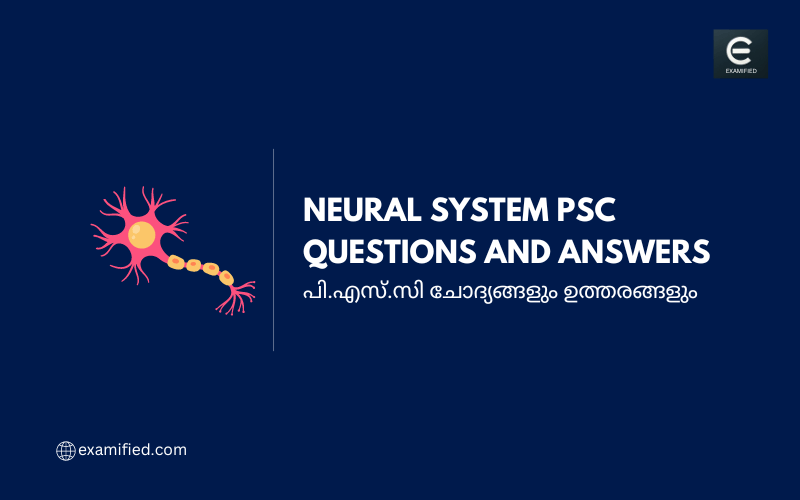 PSC Neural System Questions - പി.എസ്.സി നാഡീവ്യവസ്ഥ ചോദ്യങ്ങളും ഉത്തരങ്ങളും