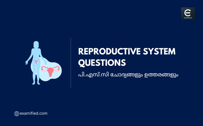 PSC Reproductive System Questions - പി.എസ്.സി പ്രത്യുൽപാദന വ്യവസ്ഥ ചോദ്യങ്ങളും ഉത്തരങ്ങളും