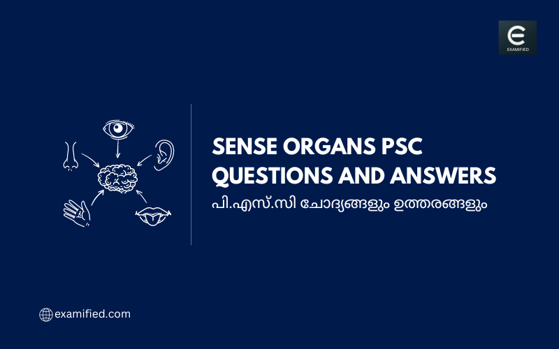 PSC Sense Organs Questions - പി.എസ്.സി ഇന്ദ്രിയങ്ങൾ ചോദ്യങ്ങളും ഉത്തരങ്ങളും