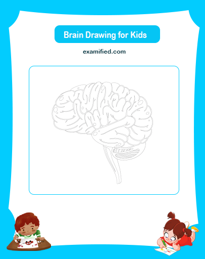 Brain Drawing for Kids