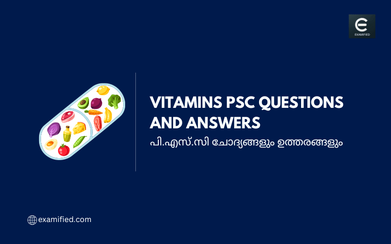 Vitamins PSC Questions - പി.എസ്.സി വിറ്റാമിനുകൾ ചോദ്യങ്ങളും ഉത്തരങ്ങളും